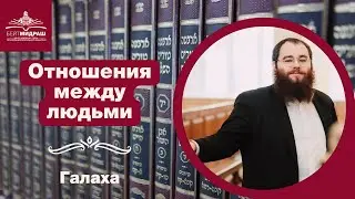 Отношения между людьми. Уважение к старикам, коѓенам, ученым Торы. Запрет оскорблять | Галаха