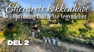 Efterårets køkkenhave | del 2: Høst, Oprydning & Nye Begyndelser