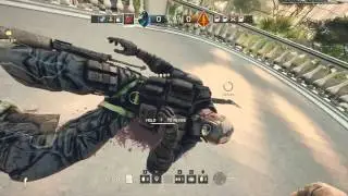 Astoss Goes Wild!