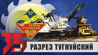 Разрез Тугнуйский 35 лет