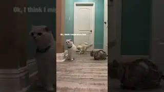 Invisible wall challenge