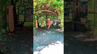 Цитата
