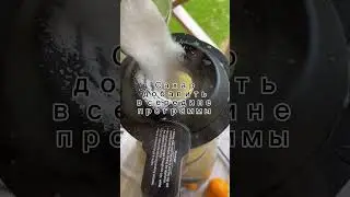 ArtMix Pro. Zepter. Апельсиновый джем 