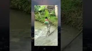 Sangat brutal 🤣