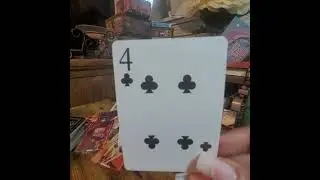 Gemini Everything you've been working&suffering for! 💜 Queen of Clovers 💜☘Oracle 💜Tarot ☀Cartomancy