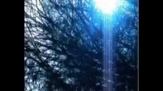 Richard Davis - In The Air