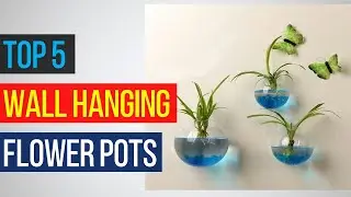 Top 5 Best Wall Hanging flower pots flower vase flower craft