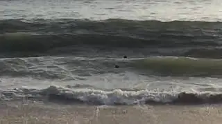 BODYSURF-SILENCIO //tubos//