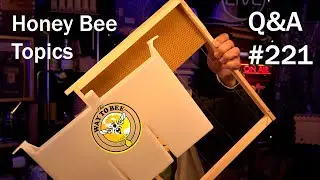 Backyard Beekeeping Questions and Answers Episode 221, are you ready for fall? Skunk Update.