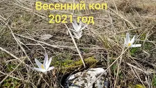 Коп по весне 2021год. Конкуренты наступали мне на пятки, но я всё равно взял верх по находкам.
