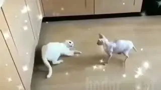 Юмор