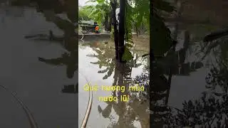 Mùa mưa đến rồi!! #shorts #muamua