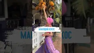 Манящий кокос или месть Индийца 🕵🏽