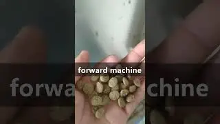 Double screws pet food making machine