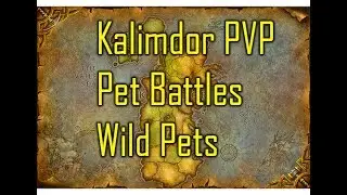Wild caught Kalimdor PVP pet battles