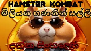 මිලියන ගණනින් සල්ලි withdraw කරන්න | අදම පටන්ගන්න | Hamster Kombat | සිංහලෙන්