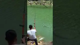 Wow! Big Fish 🐠🐡 This time Wanfeng Lake Haigan Air Force 😃😃 will not go next time in the long wa