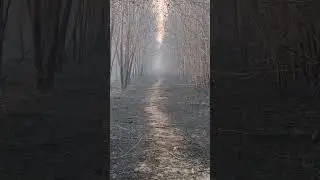 6 мая 2023 г.