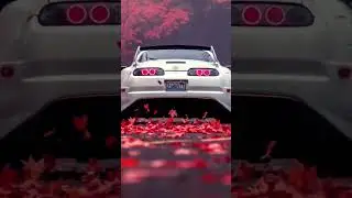 SUPRA #viral#jdm#car#shorts