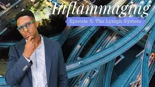 Inflammaging - Episode 5: The Lymph System