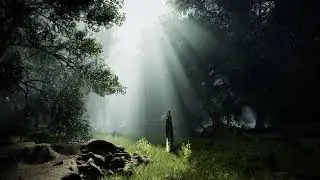 Unreal Engine 5.4 - Forest meditation