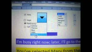 Microsoft Excel Radio Buttons, Check Box, List Box, Scroll Button, and Drop-Down Button Samples
