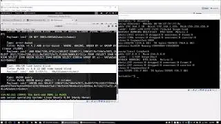 SQL Injection on server with sqlmap