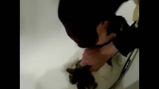 Котик в душе