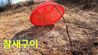 추억의 