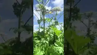 БЛОГЕРКА шокувала вчинком на КАМЕРУ 