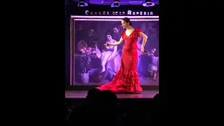 Die Leidenschaft des Flamenco