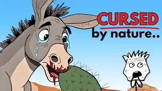 Why it sucks to be born as a donkey