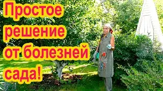 Простое средство от болезней растений