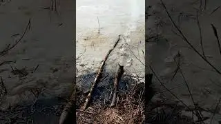 17.03.23 г.Уже не порыбачешь.