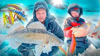 РЫБАЛКА В ГЛУХОЗИМЬЕ СУЩЕСТВУЕТ! | Море судаков и главный секрет зимней ловли трофея | 1 серия
