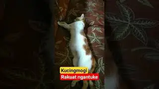 Rakuat ngantuke || #shortsvideo #shorts #comedy