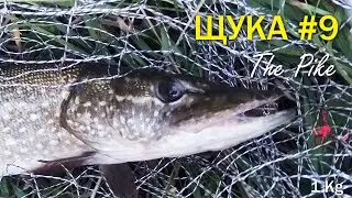 Ловля Щуки - POV Real Pike fishing #9