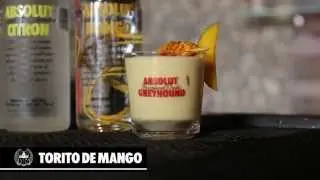 Absolut Akademi Irving Puebla