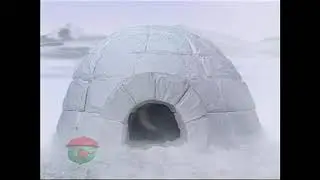 Amazing Animals: Polar Animals (Part 2 of 2)