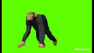 copyright free Cartoon Green Screen Animation monkey Walking  Running Green Video 