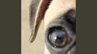 hey, hello,