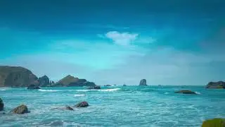 Nature Stock Video | FREE STOCK VİDEO 4K | NO COPYRİGHT VİDEO | 2021