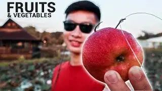 Fishing with Fruits and Vegetables?