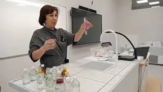 Наш Лицей. Унбер.