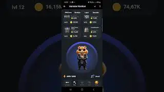 СЕКРЕТНЫЕ КОМБО КАРТЫ В ХАМСТЕР КОМБАТ 7-8 ИЮЛЯ! Hamster kombat сегодня новые комбо в видео!