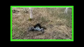 Şaşkına çeviren 27 gerçek fotoğraf
