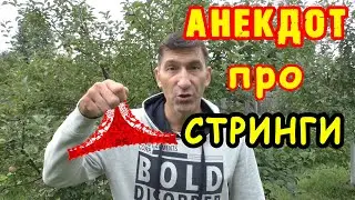 СМЕШНОЙ АНЕКДОТ про ТРУХАНЫ и ЖЕНУ КОМАНДИРА 👍 смешные свежие Анекдоты