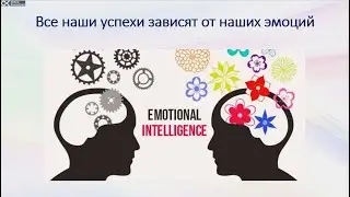Дорога к счастью   Инструмент 13   Всё дело в эмоциях