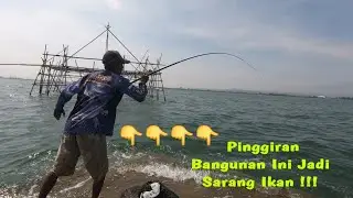 Jum'at Berkah !!! Baru Pertama Kali Mancing Di Spot Ini Langsung Seperti Ini