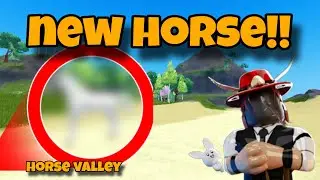 New Camarillo White Horse in Horse Valley